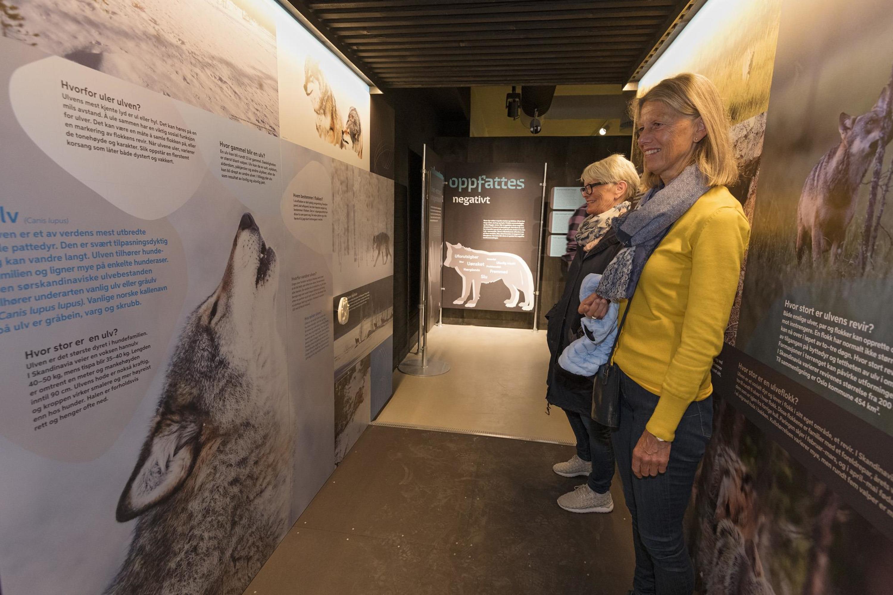 Anno Norsk skogmuseum, image size:3000x2000